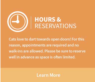 Catnaps Hotel Hours - cat boarding WNY